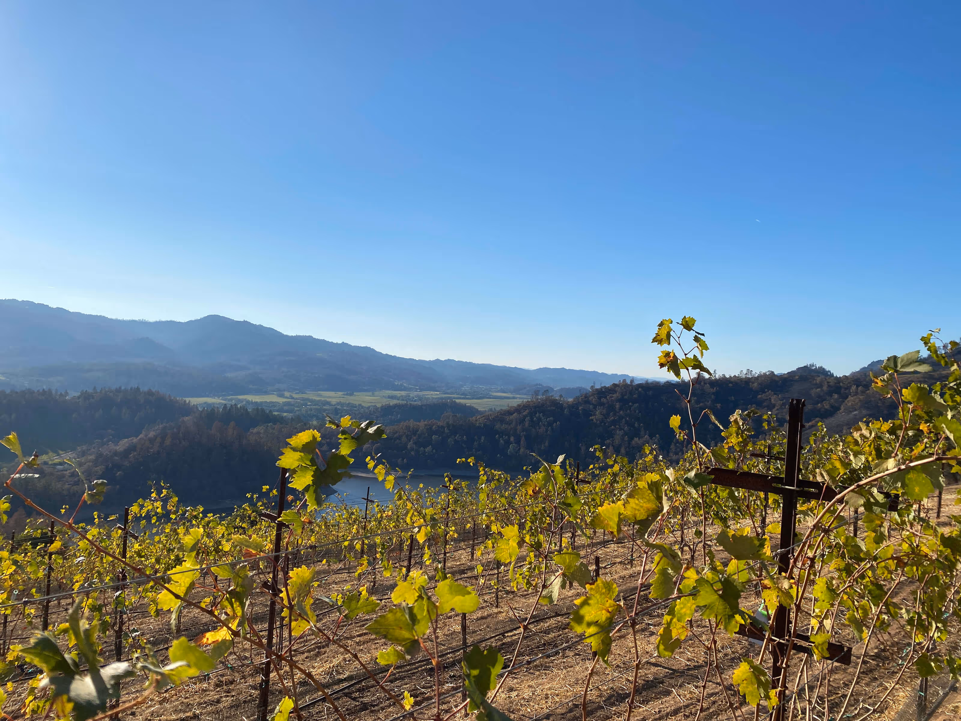 Ink Grade Winery