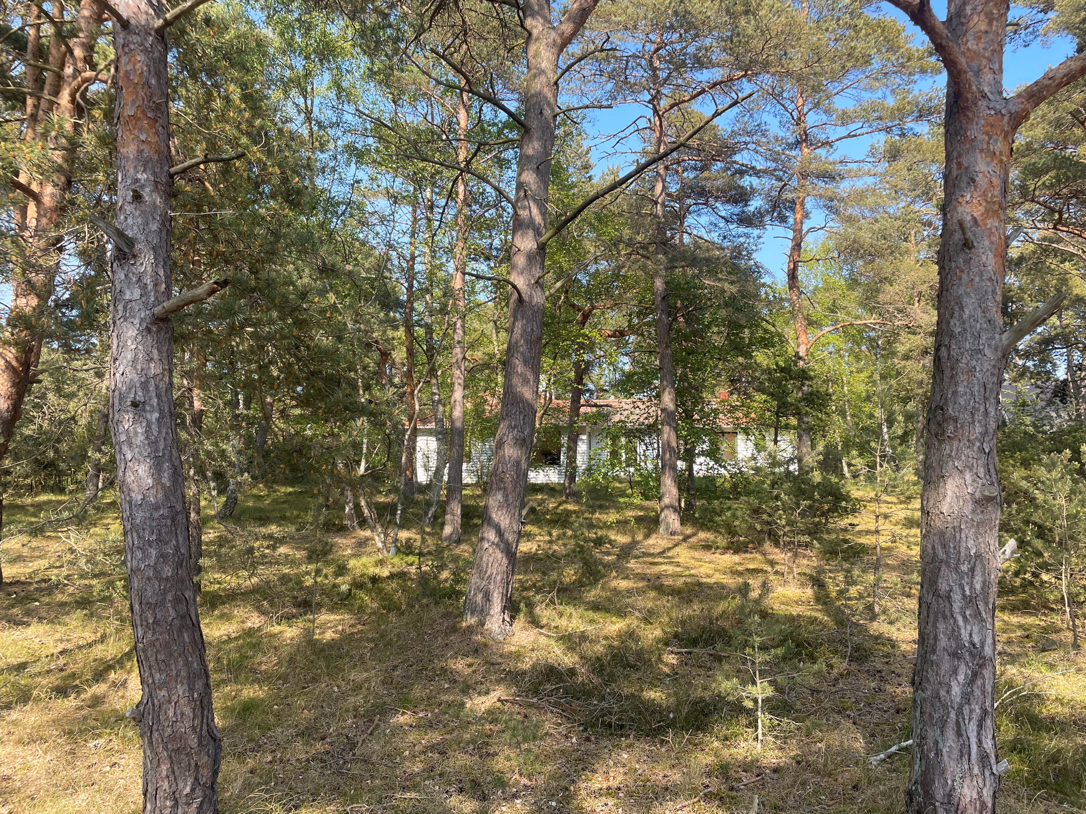 Villa P